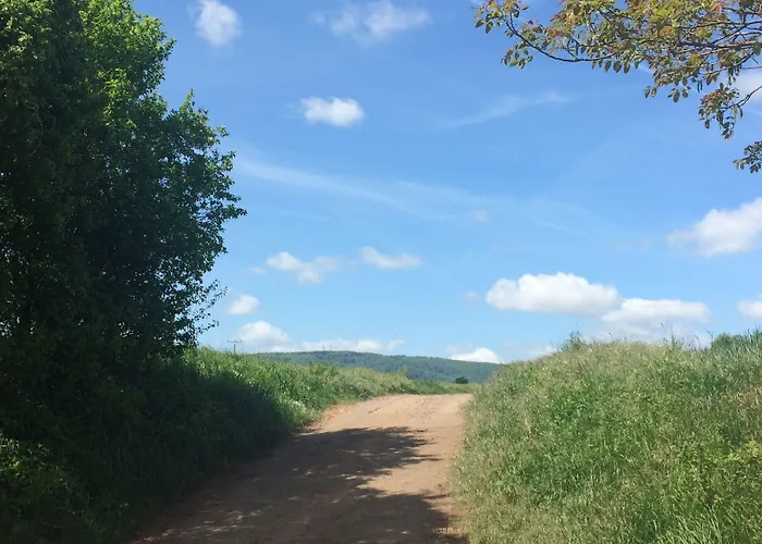 Parkhotel Schillerhain 호텔 4*