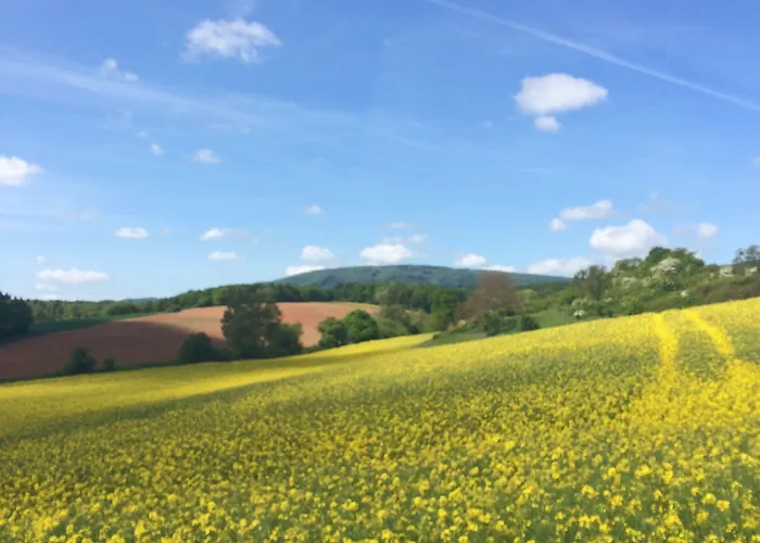 希拉汉公园酒店 酒店